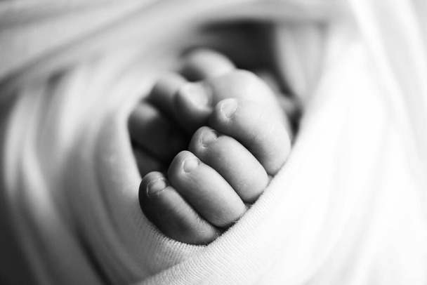 Bebek ayağı. Yumuşak seçici odaklı yeni doğmuş bir bebeğin küçük ayağı. Ayak tabanının siyah ve beyaz görüntüsü. - Fotoğraf, Görsel