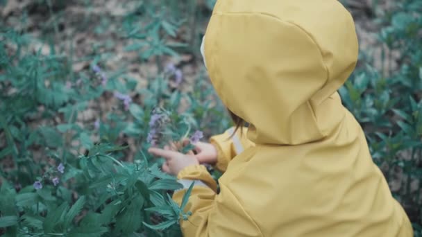 Bambina in un cappotto giallo con cappuccio raccoglie i fiori all'inizio della primavera nella foresta - Filmati, video