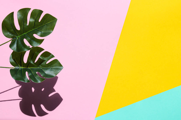 Bright summer background. Monstera leaves on a yellow-pink-mint background. Summer concept. Hard light. Top view, flat lay with copy space - Φωτογραφία, εικόνα