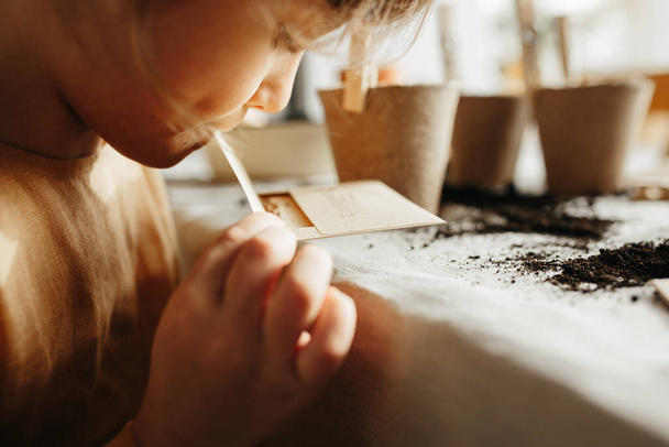 6 years old girl planting herbs at home - Photo, Image