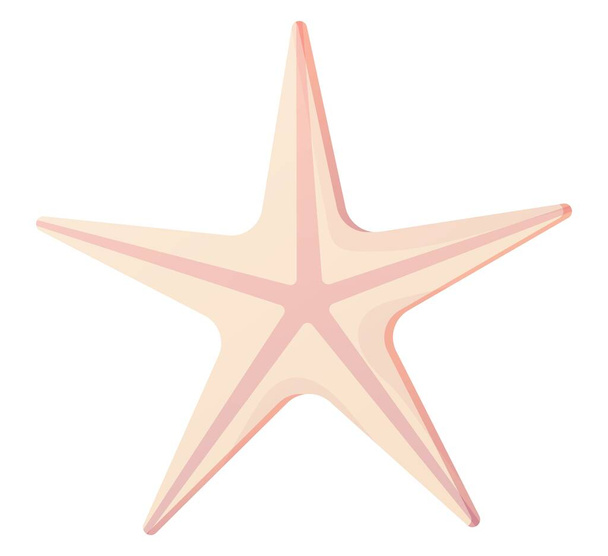 Roze zeesterren schelp. Strand clipart, oceaan ster element concept. Stock vector illustratie geïsoleerd op witte achtergrond in platte cartoon stijl - Vector, afbeelding
