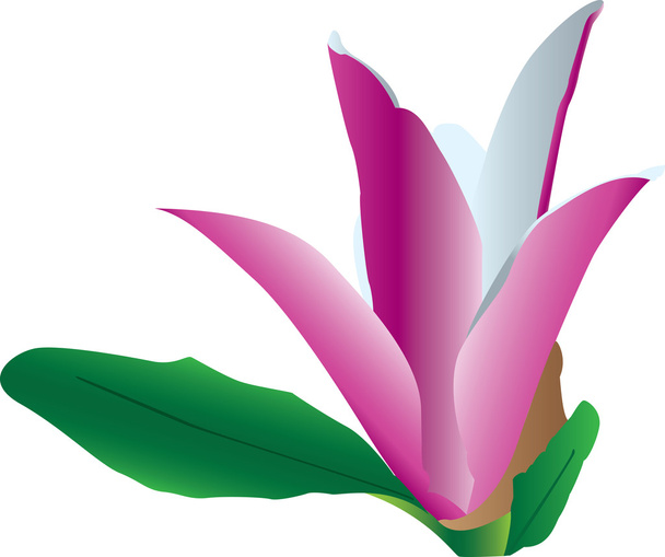 kleurrijke bloem in bloei - Vector, afbeelding