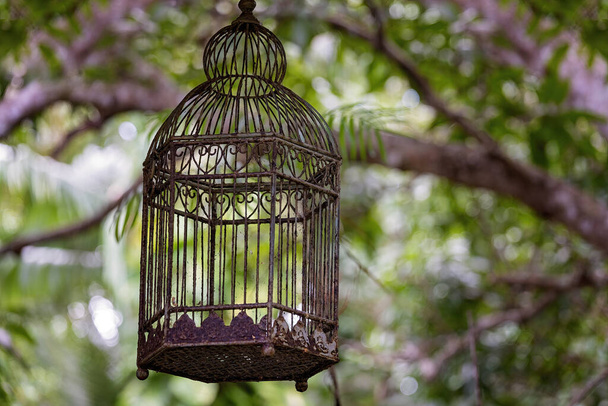 An empty rusted and dirty old bird cage hanging under a tree in a garden with filtered light background - Фото, изображение