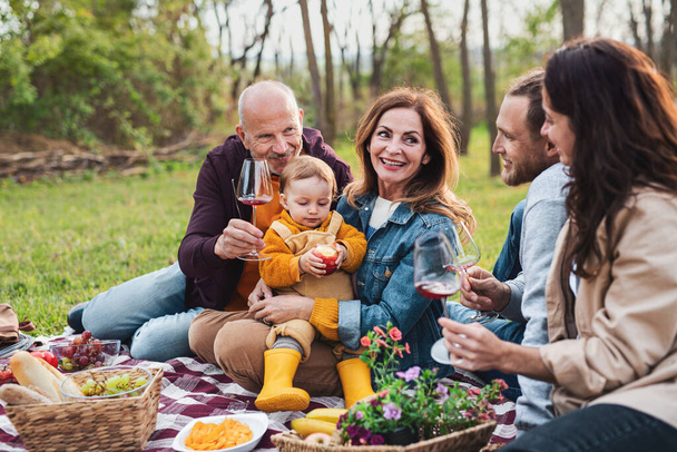 Щаслива багатоповерхова сім'я на відкритому повітрі, що має пікнік у природі
. - Фото, зображення