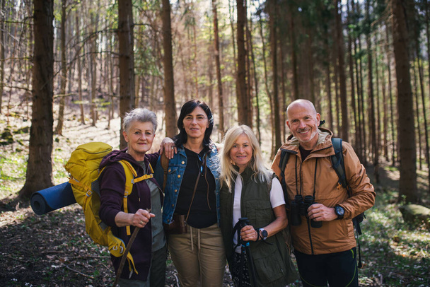Группа пожилых туристов на свежем воздухе в лесу на природе, смотрящих в камеру. - Фото, изображение