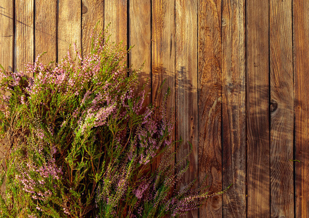Blühende rosa Heidekraut (Calluna vulgaris) auf rustikalem Holzgrund, Blick über den Kopf. Grußkarte im Vintage-Stil. Kopierraum. - Foto, Bild