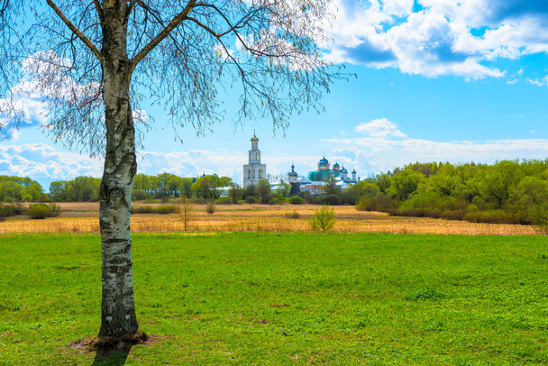 прекрасный вид на поле и православный монастырь
 - Фото, изображение