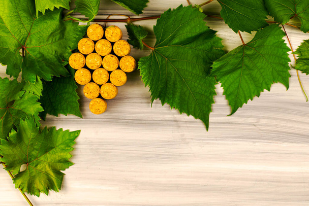 cadre de feuilles de raisin sur un fond en bois le pinceau de raisin est assemblé à partir de bouchons de vin - Photo, image