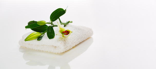 Ένα λευκό μπουμπούκι κρίνου με πράσινα φύλλα σε λευκή πετσέτα. Έννοια Spa - Φωτογραφία, εικόνα