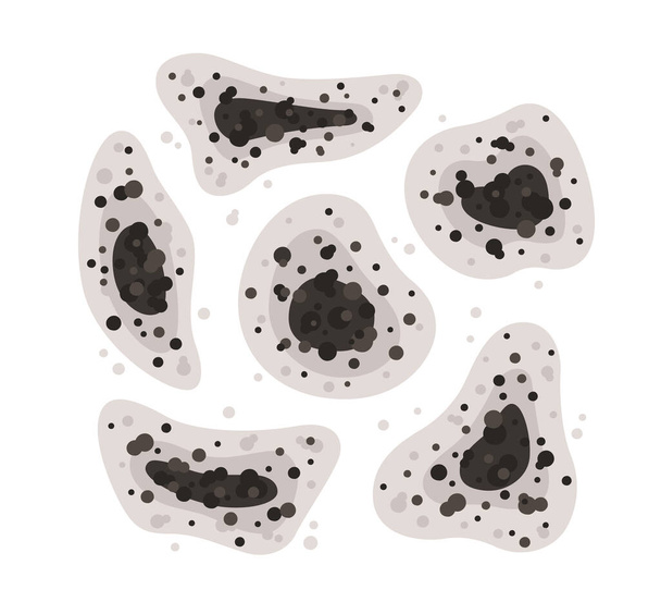 Macchie di muffa nera di diverse forme. Spore di muffa tossica. Funghi e batteri. Macchie sul muro della casa. Illustrazione vettoriale isolata su sfondo bianco - Vettoriali, immagini