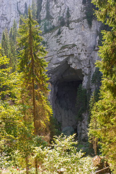 Magnifique grotte du château sur le plateau de Padis, au cœur des montagnes du Bihar, en Transylvanie en Roumanie - Photo, image