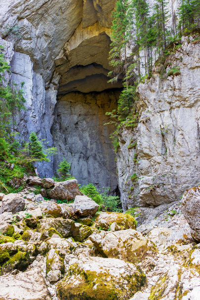 Jaskinia zamkowa na płaskowyżu Padis, w samym sercu gór Bihar, Siedmiogród w Rumunii - Zdjęcie, obraz