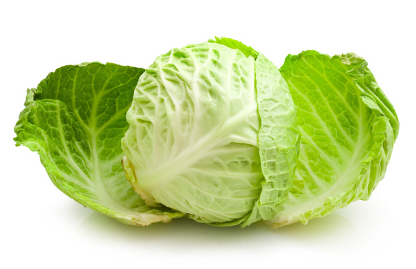 Cabbage - Zdjęcie, obraz