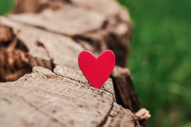  Red heart on natural background copy space, concept of love - Photo, Image