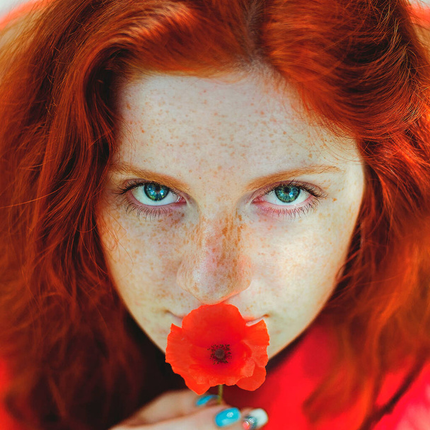 Κομψό κορίτσι με φακίδες και κόκκινα μαλλιά σε κόκκινο μακρύ φόρεμα κρατώντας κόκκινο λουλούδι παπαρούνας στο πράσινο πεδίο στη φύση. Πορτρέτο της γυναίκας Boho ποζάρουν στην καλοκαιρινή ύπαιθρο. Ευτυχισμένος τρόπος ζωής. Ατμοσφαιρική στιγμή.  - Φωτογραφία, εικόνα