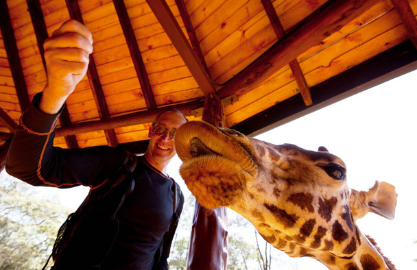 Toutist  feeding giraffe in zoo - Zdjęcie, obraz