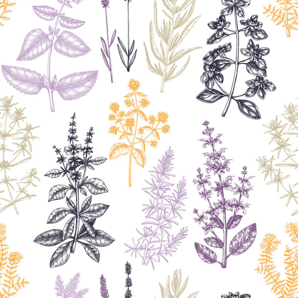 Traditional Provence herbs seamless pattern. Hand-sketched savory, marjoram, rosemary, thyme, oregano, lavender backdrop. For perfumery or cosmetics brands, aromatherapy, fabrics, wrapping paper. - Vektör, Görsel