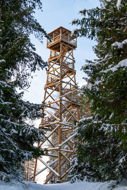 Ein hölzerner Wachturm inmitten des Kiefernwaldes. Winterwunderland bei sonnigem Tag mit warmer Sonne und blauem Himmel - Foto, Bild