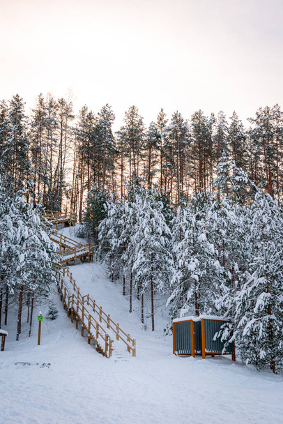 Wooden stairs leading up to the forest illuminated by the warm sunlight. Pine trees covered with snow in the winter wonderland - Photo, Image
