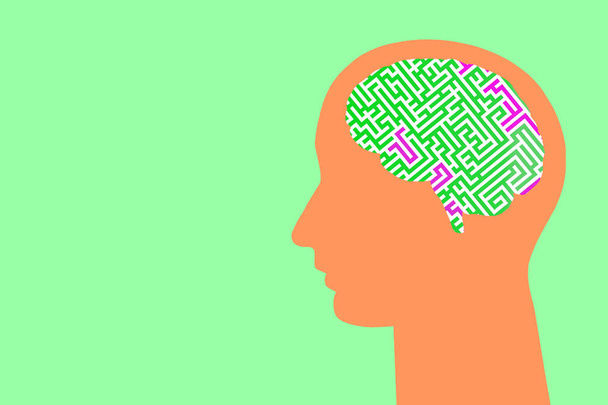 cabeza multicolor sobre un fondo de color con un laberinto en el cerebro - Foto, Imagen