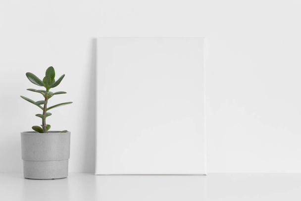 Maqueta de lona blanca con una planta suculenta sobre la mesa. - Foto, Imagen
