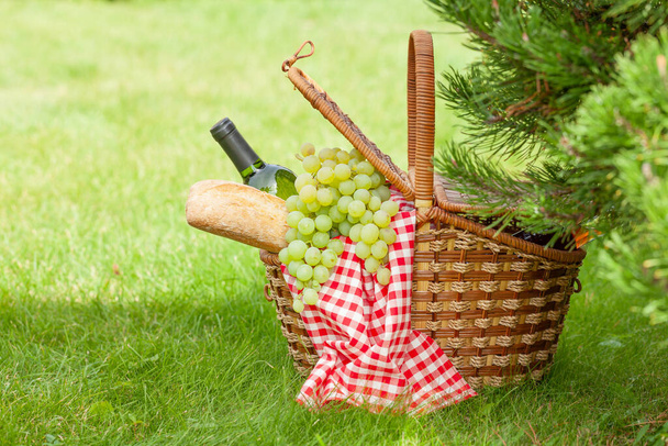 Panier pique-nique avec vin, raisin et baguette sur gazon ensoleillé jardin avec espace de copie - Photo, image