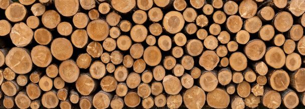 Stapel gezaagde boomstammen in panoramische close-up - achtergrond houtindustrie - Foto, afbeelding