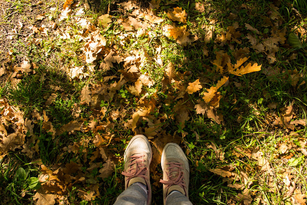 秋の公園を歩く女性。スニーカーの女の子の足は落ち葉の上に立つ. - 写真・画像
