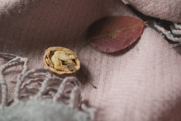 Τα όμορφα πεσμένα φύλλα και τα καρύδια σε ένα ζεστό μαντήλι. Ιστορικό φθινοπώρου. - Φωτογραφία, εικόνα