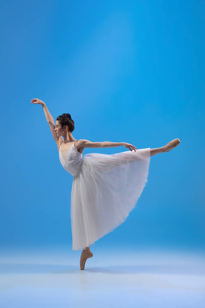 Young and incredibly beautiful ballerina is posing and dancing at blue studio full of light. - Foto, Imagem