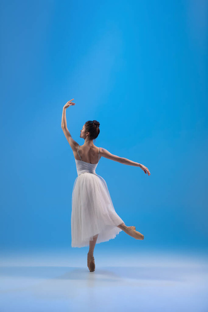 Young and incredibly beautiful ballerina is posing and dancing at blue studio full of light. - Φωτογραφία, εικόνα