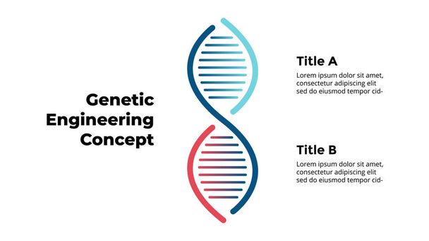 DNA Infographic. Science medical concept. Genetic engineering. Vector illustration slide template.  - Vector, Image