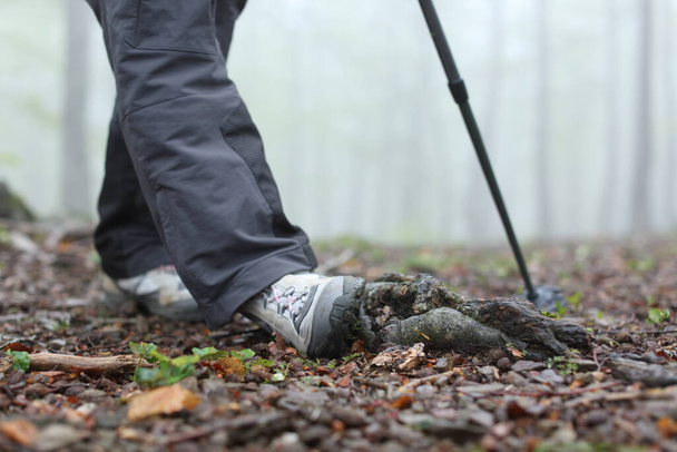 Close up of a trekker legs spraining ankle walking in a forest - Zdjęcie, obraz