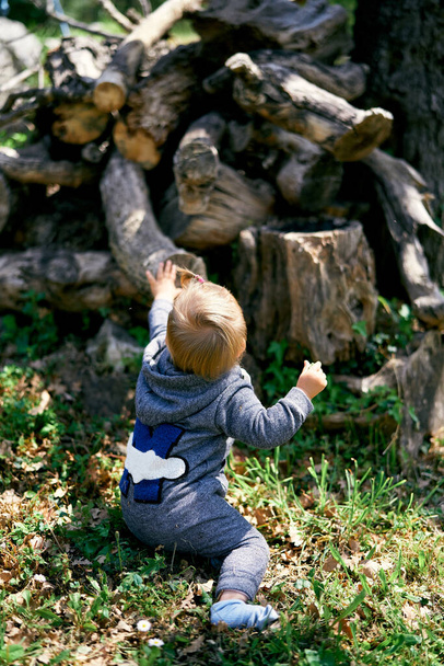 Kleines Kind sitzt auf dem Rasen und greift nach den gefällten Baumstümpfen. Rückseite - Foto, Bild