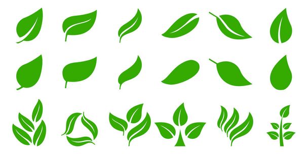 Yeşil yaprak simgelerinin vektör kümesi. Yaprak ekolojisi ikonu doğa elementi, yeşil yapraklar, çevre ve doğa ekolojik işareti. İzole edilmiş beyaz arka planda yeşil yapraklar. Vektör EPS 10 - Vektör, Görsel