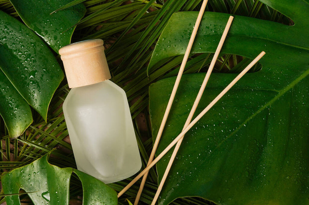 aroma riet diffuser home geur met rotan stokken op een zwarte achtergrond met palmbladeren - Foto, afbeelding