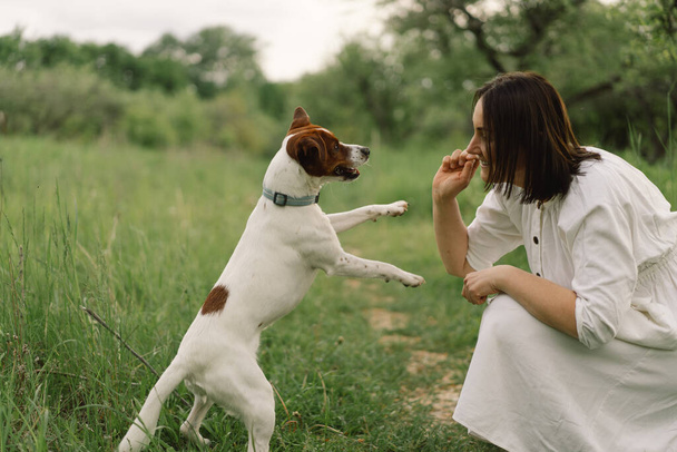 Nainen esittää Jack Russell Terrier koiraa niityllä. Nainen halaa Jack Russell Terrier koiraa luonnossa. Kaunis koira. Nainen ja koira ystävyys. - Valokuva, kuva