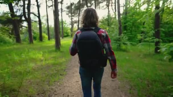 Muž s batohem kráčející lesem. - Záběry, video