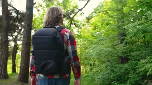 Homme avec sac à dos marchant dans la forêt. - Séquence, vidéo