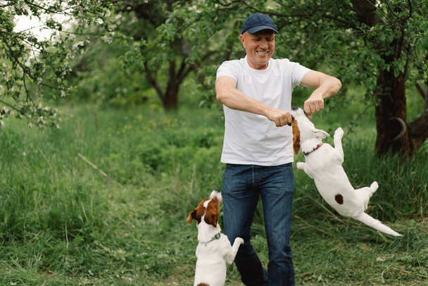 Man and dog friendship. Man play Jack Russell Terrier dogs in meadow. Man and Jack Russell Terrier dogs in nature. Beautiful dog. - Foto, afbeelding