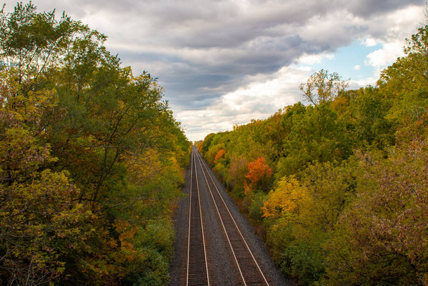 train tracks in the middle of the forest in autumn - Foto, Imagen
