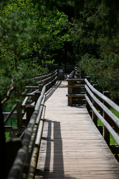 Туристическая тропа с деревянным пешеходным мостом и деревянными защитными барьерами в зеленом лиственном лесу. - Фото, изображение