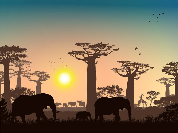 アフリカの風景。草、木、鳥、動物のシルエット。要旨自然背景. - 写真・画像
