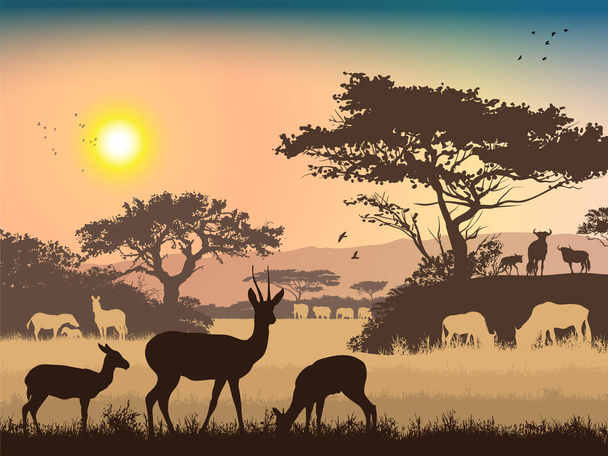 Afrykański krajobraz. Trawa, drzewa, ptaki, sylwetki zwierząt. Abstrakcyjne tło natury. - Zdjęcie, obraz
