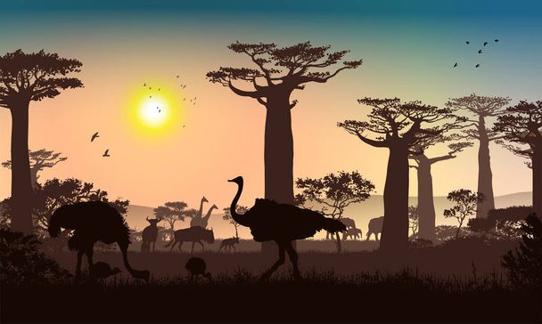 Африканский пейзаж Трава, деревья, птицы, животные силуэты. Абстрактный природный фон. - Фото, изображение