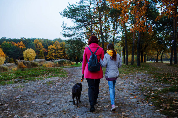 Family Love Abstract: Autumn Park, Mother And Daughter Walking With Dog - Фото, изображение