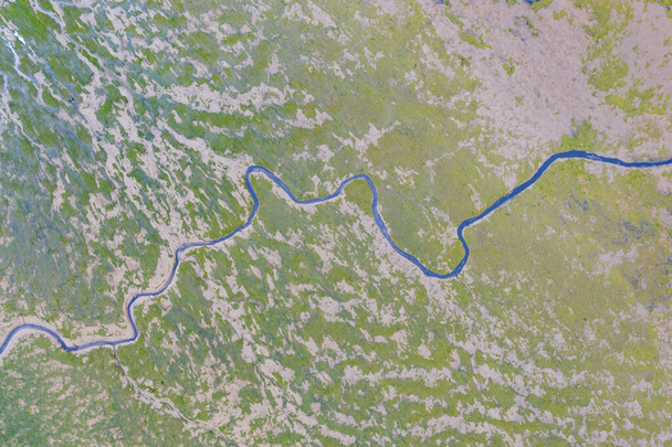 Aerial view of river meander in the lush green vegetation of the delta. Beautiful landscape - wild river in USA. National nature reserve in summer. - Fotoğraf, Görsel