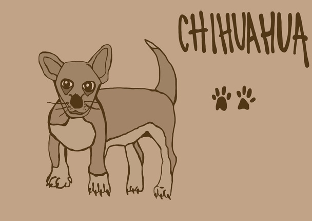 cosecha de Chihuahua - Foto, Imagen