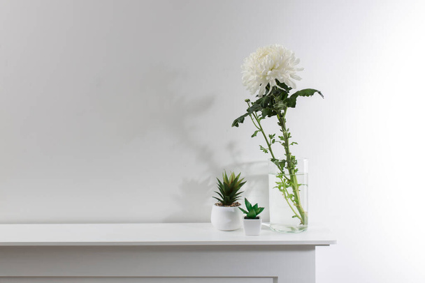 Large white chrysanthemum in a glass transparent vase and two artificial succulents are on the table. Copy space. - Photo, image