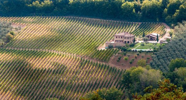 Ряды обрезанных виноградных лоз ранней осенью с коттеджным домом. Тоскана, Италия - Фото, изображение